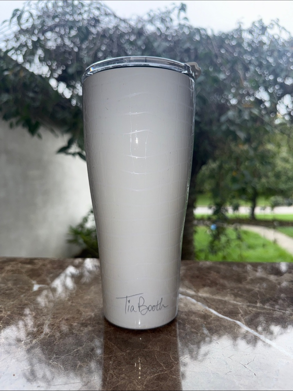 Tia Booth White Insulated Travel Tumbler with Clear Lid - Double-Wall Stainless